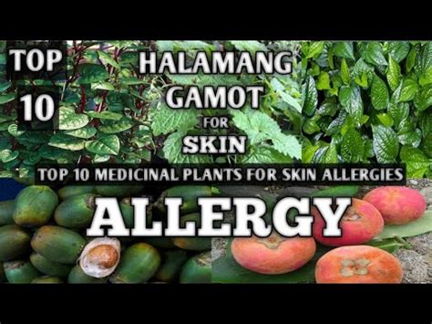 allergy sa sabon panlaba|Home Remedy sa Skin Allergy: Alamin Dito Ang mga .